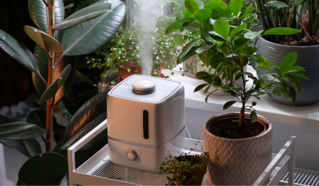 Best Humidifiers Preview