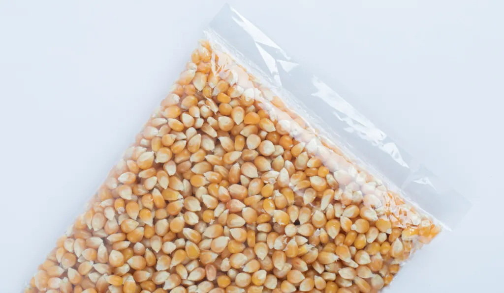 Best Vacuum Sealers Preview