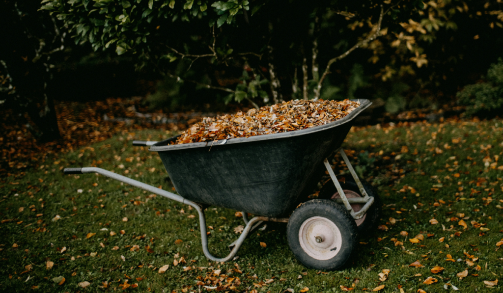 Best Wheelbarrows Preview