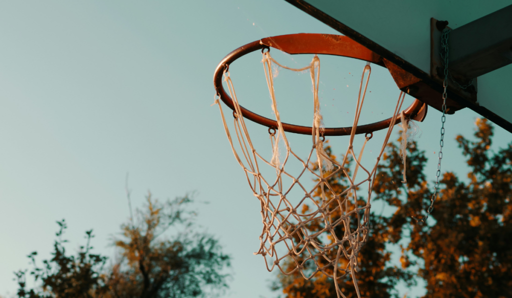 Best Basketball Hoops Spotlight