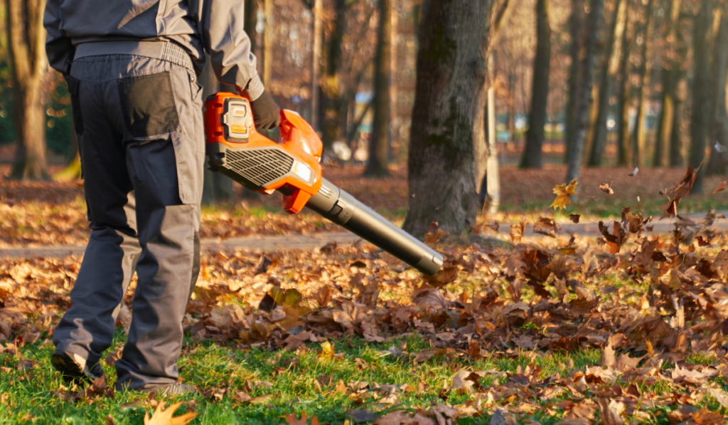 Best Leaf Blowers Spotlight