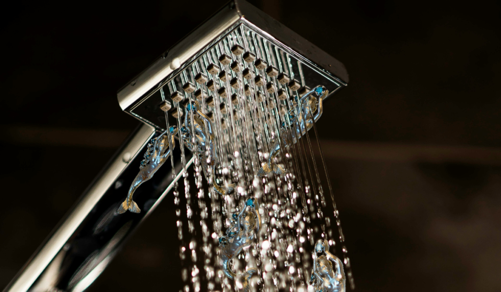 Best Showerheads Spotlight