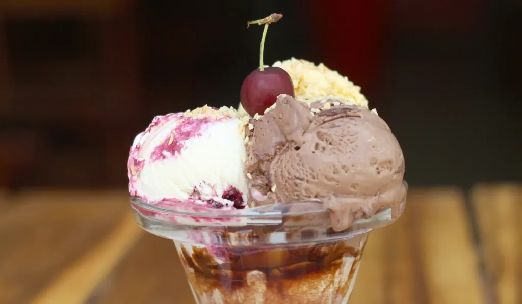 Best Ice Cream Machines Spotlight