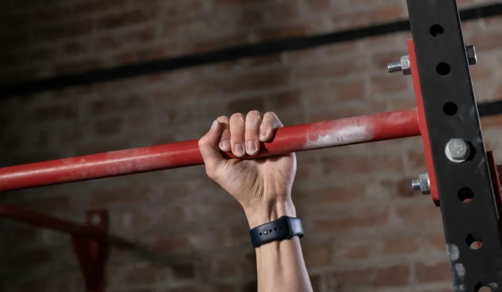 Best Pull-Up Bars Spotlight