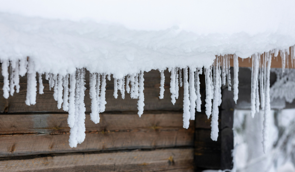 Best Snow Roof Rakes Spotlight