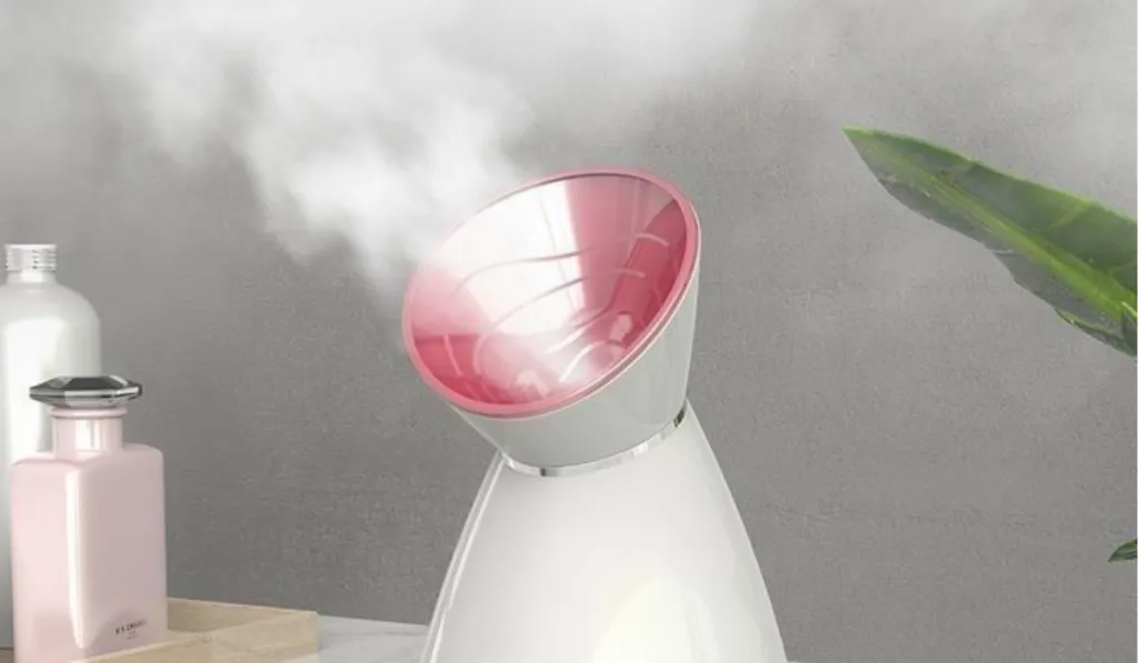 Best Facial Steamers Preview