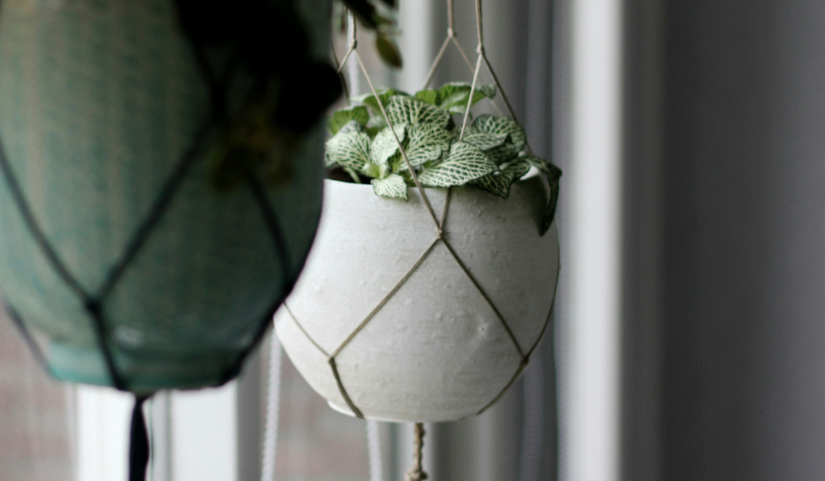 Best Planters Spotlight