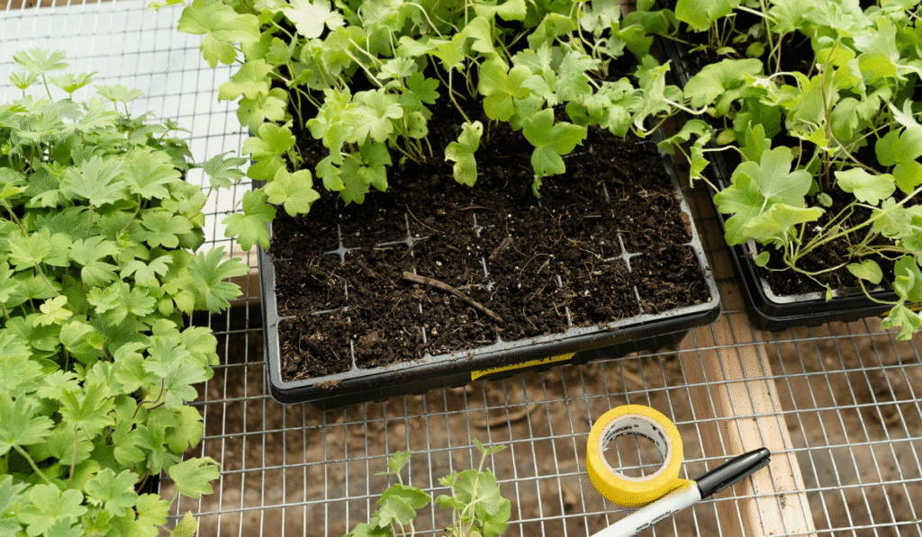 Best Smart Plant Sensors Spotlight