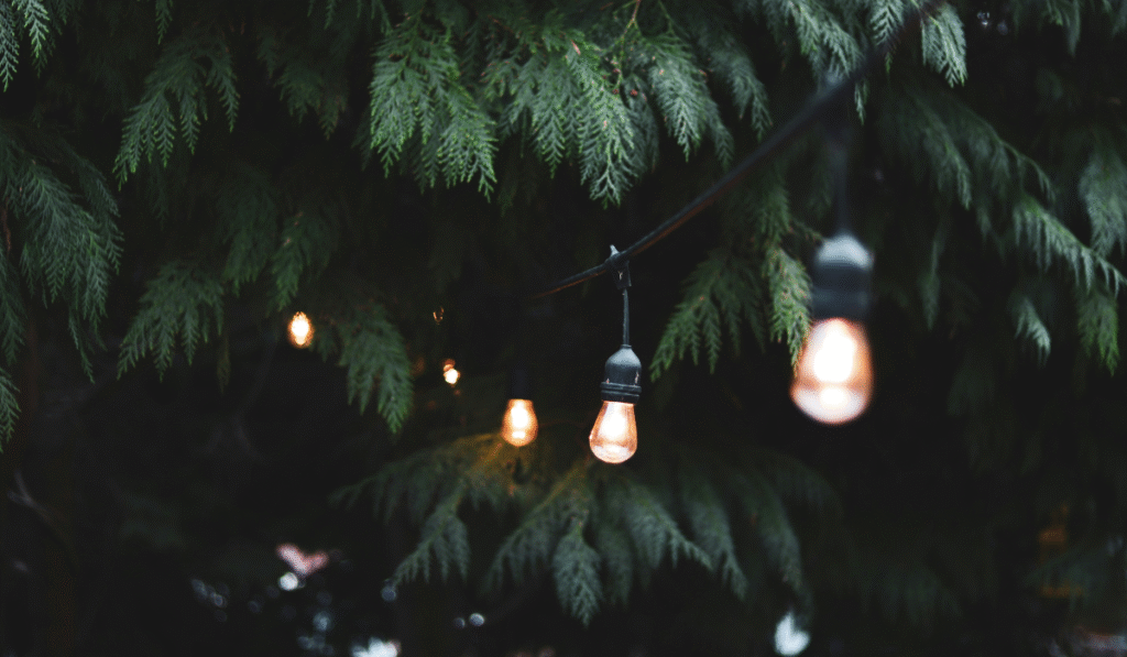 Best Outdoor String Lights Spotlight