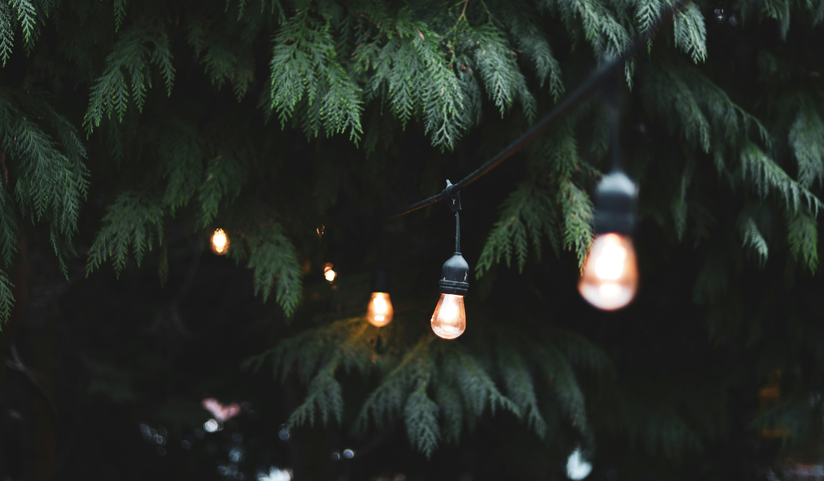 Best Outdoor String Lights Spotlight