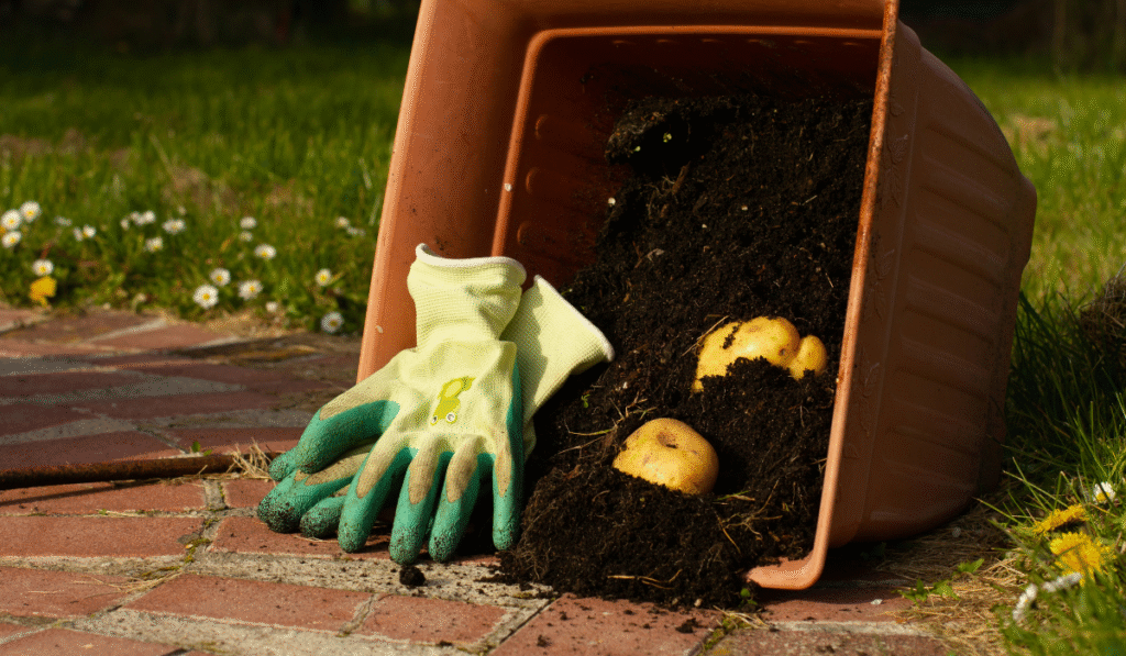 Best Compost Tumblers Spotlight