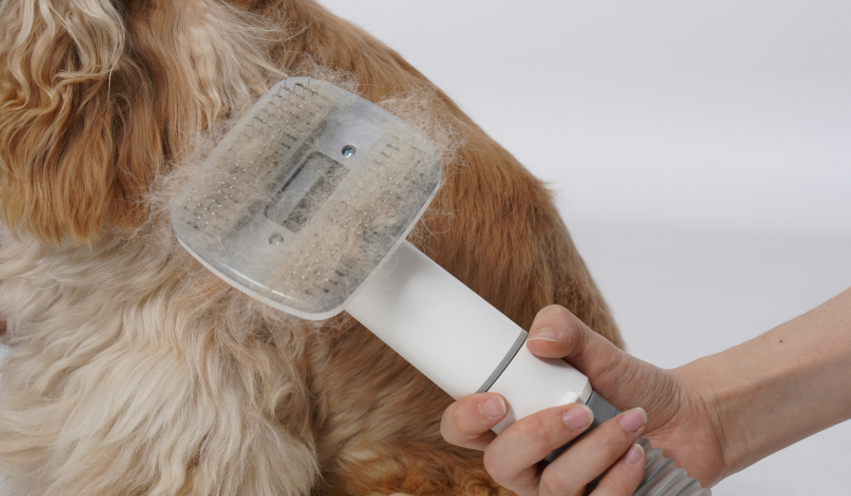 Best Pet Grooming Kits Spotlight