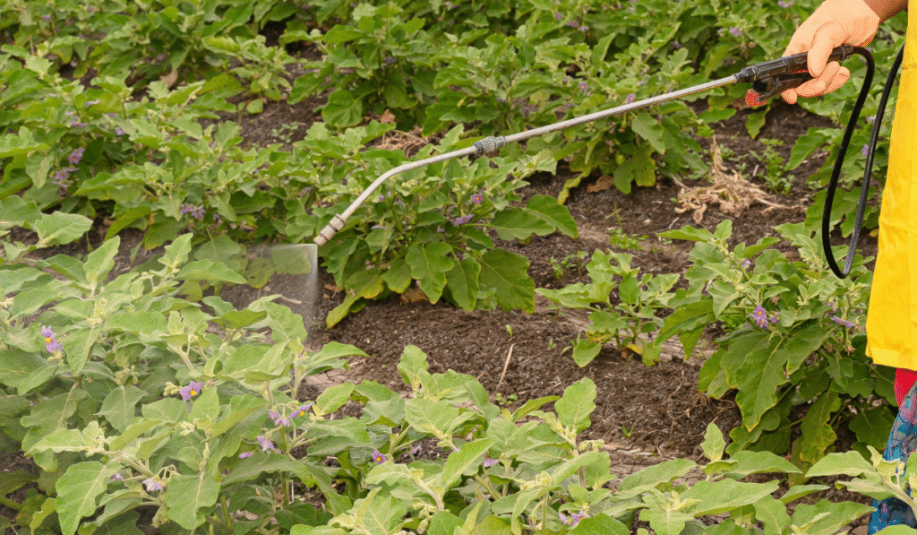 Best Electric Sprayers Spotlight