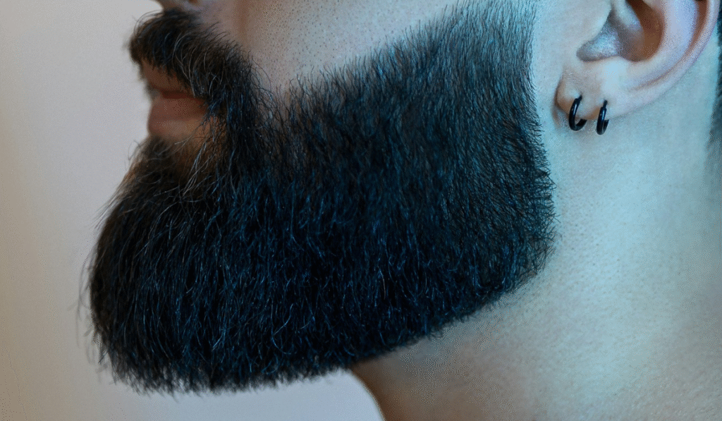 Best Beard Straighteners Spotlight