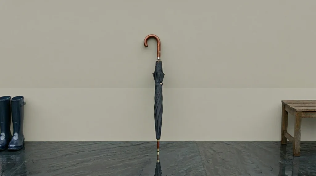 Best Umbrellas Featured