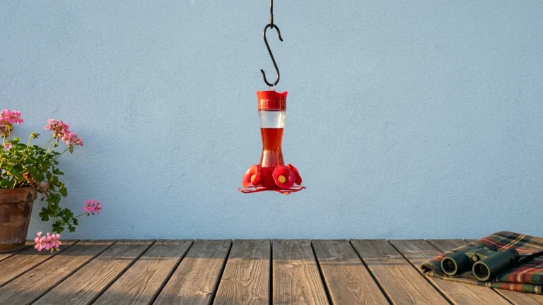 Best Hummingbird Bird Feeders Featured
