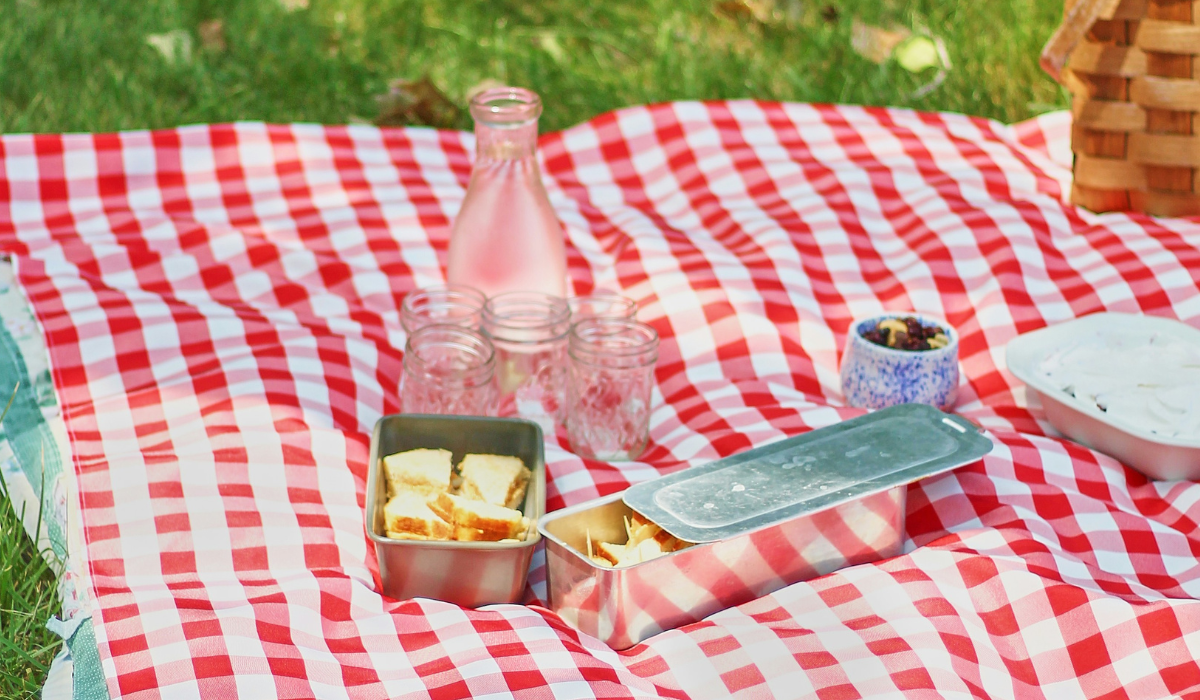 Best Picnic Blankets Spotlight