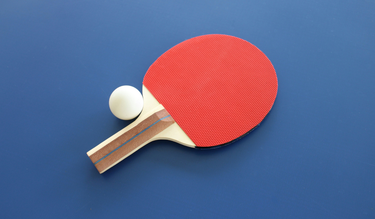 Best Ping Pong Paddles Preview