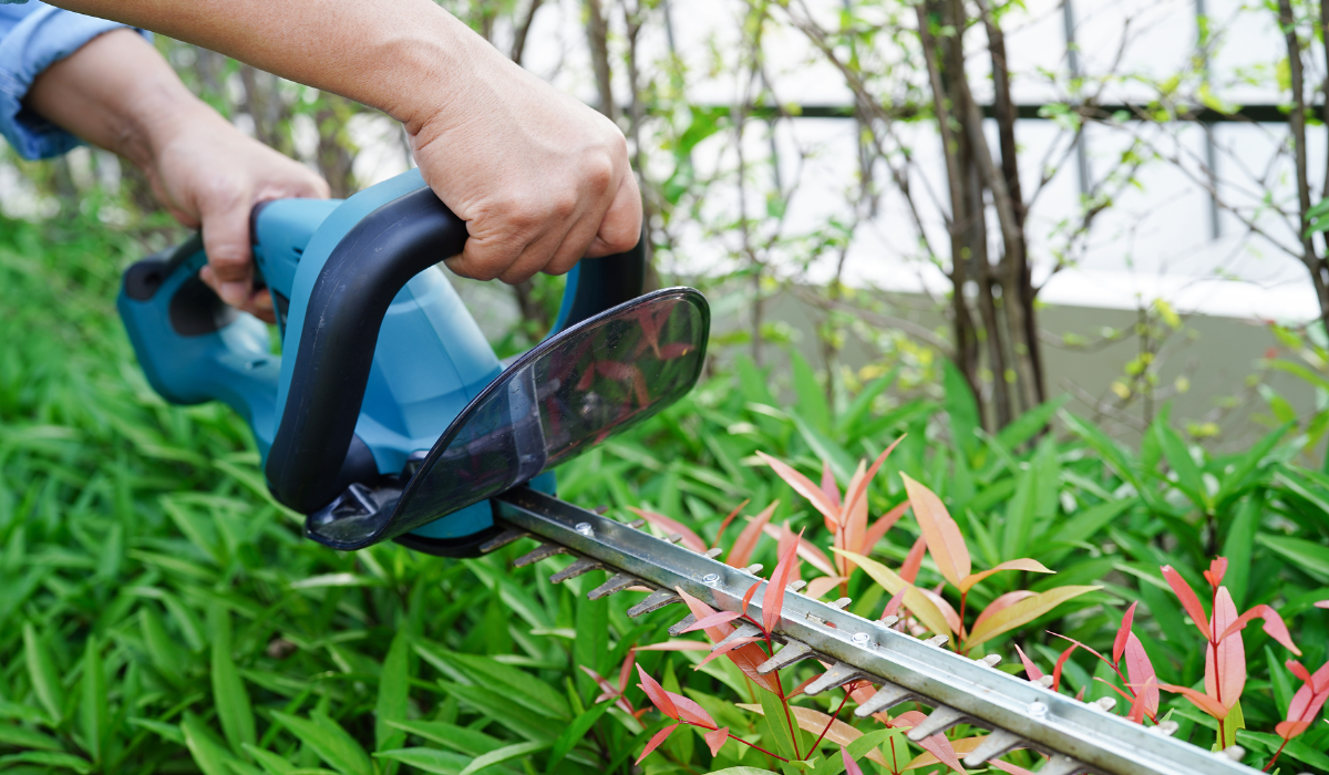 Best Power Hedge Trimmers Preview